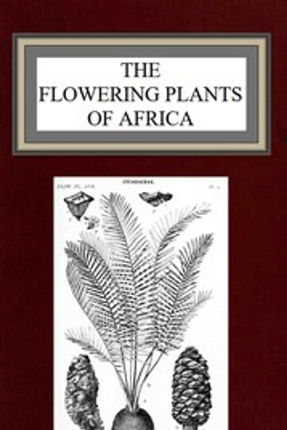 The flowering plants of Africa: An analytical key to the genera of African phanerograms, Franz Thonner